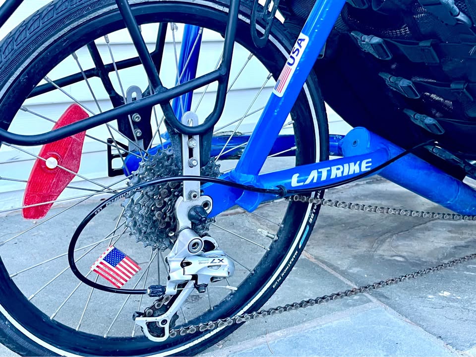 Catrike Road Recumbent Trike (Tricycle), Added Headrest