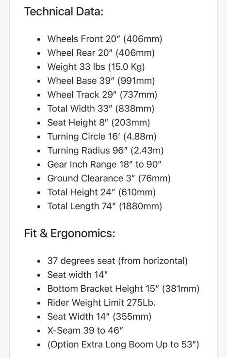 Catrike Road Recumbent Trike (Tricycle), Added Headrest