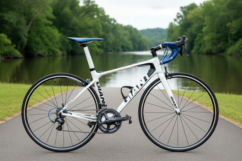 Giant TCR Advanced 2 – Riverside v6