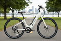 Serfas eDASH Bayside Park - No Kickstand