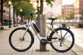 Trek Verve+ 2 Lowstep — Urban Stylized